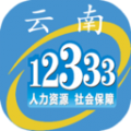 云南人社12333养老认证官方版 v2.90安卓版