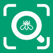 病虫害监测app官方最新版 v1.0安卓版