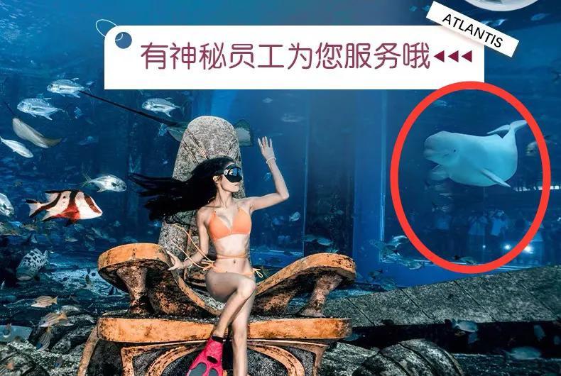 淘宝每日一猜亚特兰蒂斯体型最大员工答案