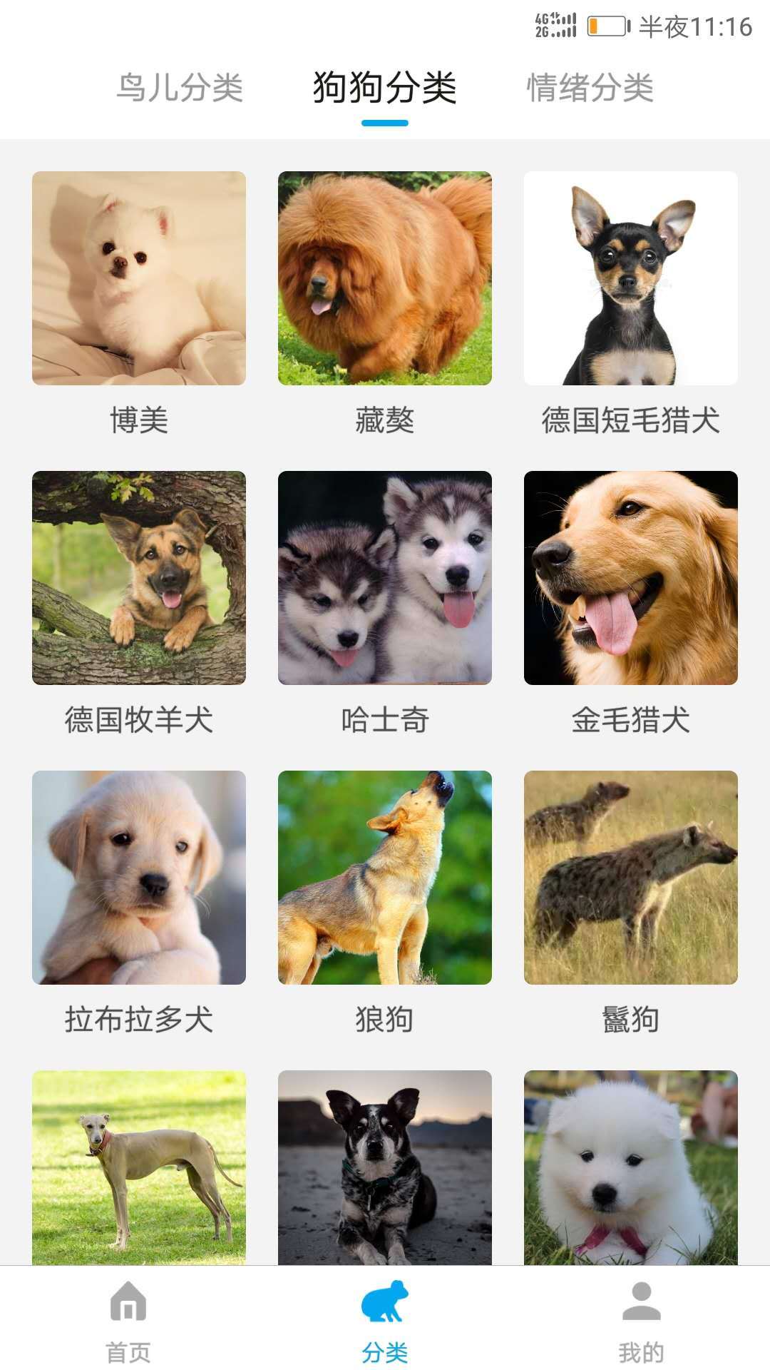 动物翻译器app