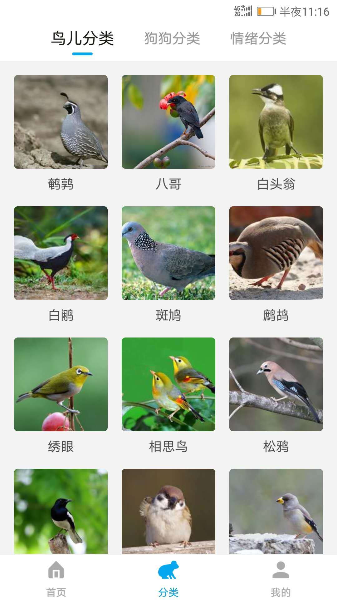 动物翻译器app
